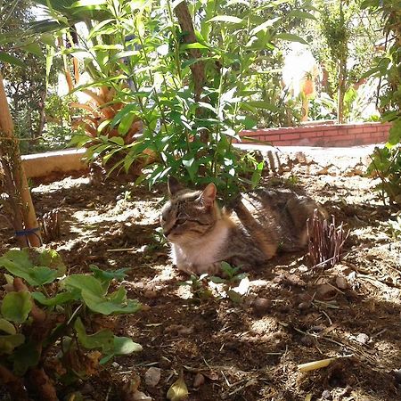 Auberge Le Jardin De La Source Aït Ben Ali 外观 照片